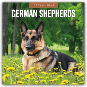 Red, Robin. German Shepherds - Deutscher Schäferhund 2027 - 16-Monatskalender - Original Red Robin Publishing Ltd-Kalender [Mehrsprachig] [Kalender]. Browntrout Verlags GmbH, 2026.