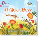 A Quick Buzz