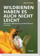 Wildbienen haben es auch nicht leicht