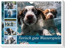 Tierisch gute Wasserspiele (Wandkalender 2025 DIN A4 quer), CALVENDO Monatskalender