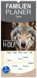 Familienplaner 2024 - Begegnung mit dem Wolf mit 5 Spalten (Wandkalender, 21 x 45 cm) CALVENDO