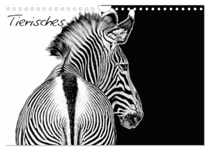 Jo. PinX, Jo. PinX. Tierisches (Wandkalender 2024 DIN A4 quer), CALVENDO Monatskalender - Eindrucksvolle Tierbilder. Calvendo Verlag, 2023.