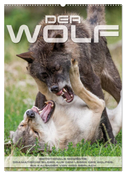 Emotionale Momente: Der Wolf. (Wandkalender 2025 DIN A2 hoch), CALVENDO Monatskalender