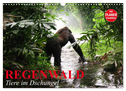 Regenwald. Tiere im Dschungel (Wandkalender 2024 DIN A3 quer), CALVENDO Monatskalender