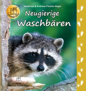 Fischer-Nagel, Heiderose / Andreas Fischer-Nagel. Neugierige Waschbären. Fischer-Nagel, Heiderose, 2023.