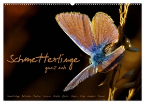 Delgado, Julia. Schmetterlinge ganz nah (Wandkalender 2024 DIN A2 quer), CALVENDO Monatskalender - Ein wunderschöner Kalender mit Schmetterlings-Fotografien aus allernächster Nähe. Calvendo Verlag, 2023.