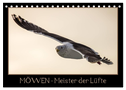 Möwen - Meister der Lüfte (Tischkalender 2024 DIN A5 quer), CALVENDO Monatskalender