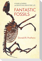 Fantastic Fossils