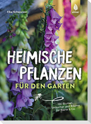 Heimische Pflanzen für den Garten
