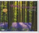Waldspaziergang 2027