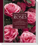 How to Grow Roses