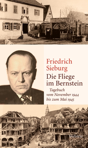 Sieburg, Friedrich. Die Fliege im Bernstein - Tagebuch vom November 1944 bis zum Mai 1945. Wallstein Verlag GmbH, 2022.