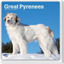 Great Pyrenees - Pyrenäenberghund 2027 - 16-Monatskalender