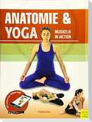 Anatomie & Yoga