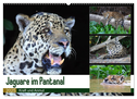 Jaguare im Pantanal (Wandkalender 2025 DIN A2 quer), CALVENDO Monatskalender