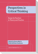 Perspectives in Critical Thinking