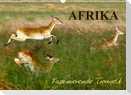 Afrika - Faszinierende Tierwelt (Wandkalender 2022 DIN A3 quer)