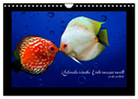 Kalendarische Unterwasserwelt (Wandkalender 2024 DIN A4 quer), CALVENDO Monatskalender