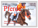 Pferde-Rennen auf Schnee und im Wasser (Wandkalender 2024 DIN A4 quer), CALVENDO Monatskalender