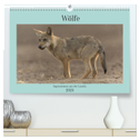 Wölfe, Impressionen aus der Lausitz (hochwertiger Premium Wandkalender 2024 DIN A2 quer), Kunstdruck in Hochglanz