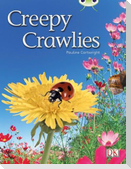 Bug Club Independent Non Fiction Year 1 Green B Creepy Crawlies