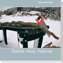 Baltisk Have, Februar