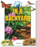 In a Backyard