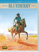 Blueberry 4