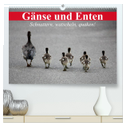 Gänse und Enten. Schnattern, watscheln, quaken! (hochwertiger Premium Wandkalender 2024 DIN A2 quer), Kunstdruck in Hochglanz