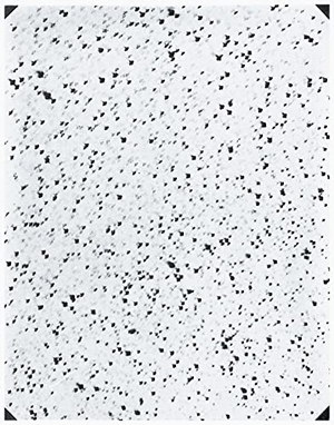 Ferrari, Andrea. By Means of the Sun. Steidl GmbH & Co.OHG, 2026.