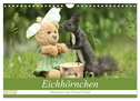 Eichhörnchen - Abenteuer mit Freund Teddy (Wandkalender 2025 DIN A4 quer), CALVENDO Monatskalender