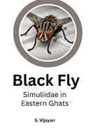 Black Fly Simuliidae in Eastern Ghats