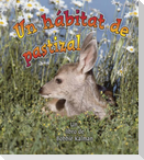 Un Hábitat de Pastizal (a Grassland Habitat)