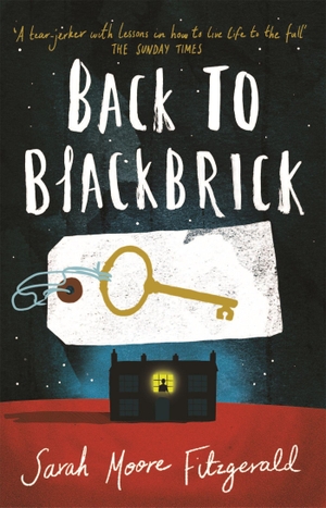 Moore Fitzgerald, Sarah. Back to Blackbrick. Yen Press, 2014.
