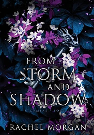 Morgan, Rachel. From Storm and Shadow. Rachel Morgan, 2022.