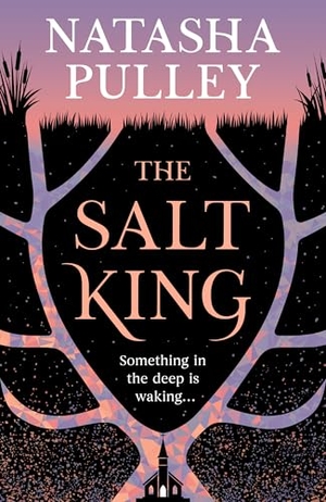 Pulley, Natasha. The Salt King. Orion Publishing Group, 2026.