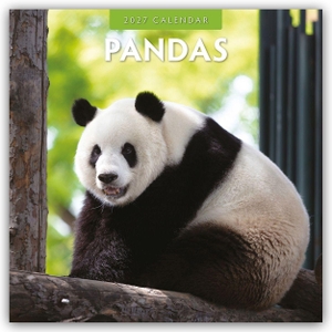 Red, Robin. Pandas - Pandabären 2027 - 16-Monatskalender - Original Red Robin Publishing Ltd-Kalender [Mehrsprachig] [Kalender]. Browntrout Verlags GmbH, 2026.