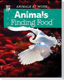 Animals Finding Food