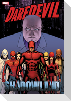 Daredevil: Shadowland Omnibus Cassaday Cover (New Printing)