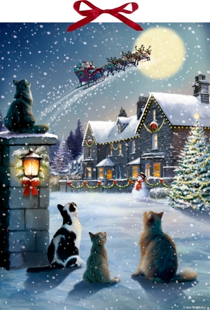 Wand-Adventskalender - Katzen-Weihnacht - Katzen-Weihnacht. Coppenrath, 2024.