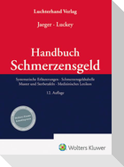 Handbuch Schmerzensgeld
