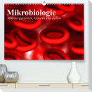 Mikrobiologie. Mikroorganismen, Genetik und Zellen (Premium, hochwertiger DIN A2 Wandkalender 2023, Kunstdruck in Hochglanz)
