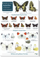 Guide to the butterflies of Britain and Ireland