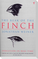 The Beak Of The Finch