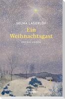 Ein Weihnachtsgast. Erzählungen