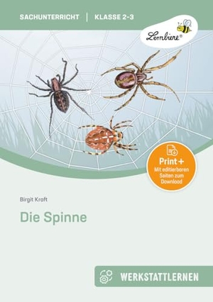 Kraft, Birgit. Die Spinne - (2. und 3. Klasse). Lernbiene Verlag i.d. AAP, 2022.