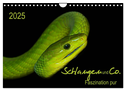 Schlangen und Co. - Faszination pur (Wandkalender 2025 DIN A4 quer), CALVENDO Monatskalender