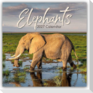 Elephants - Elefanten 2027 - 16-Monatskalender