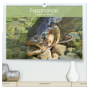 Faszination Angeln und Fischen (hochwertiger Premium Wandkalender 2025 DIN A2 quer), Kunstdruck in Hochglanz
