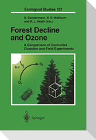 Forest Decline and Ozone